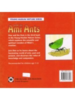 AND THE AMR ANTS